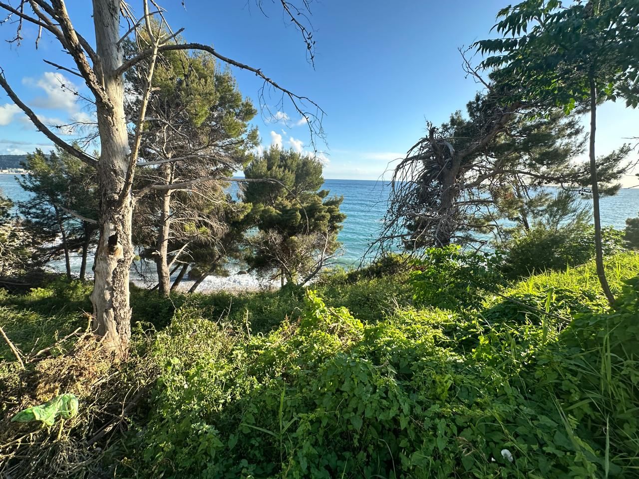 Земля в Баре, Черногория, 1 012 м² - фото 2