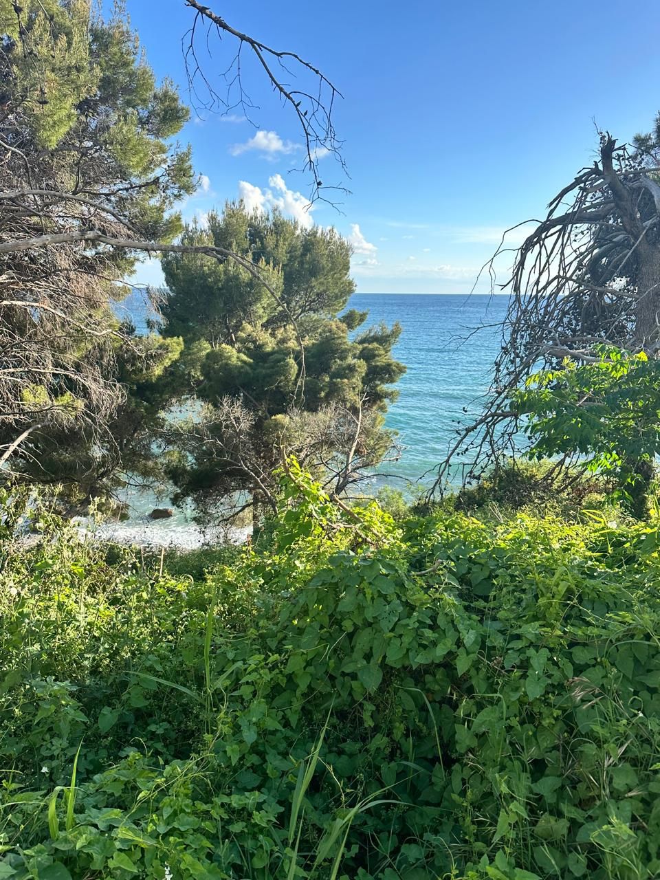 Земля в Баре, Черногория, 1 012 м² - фото 3