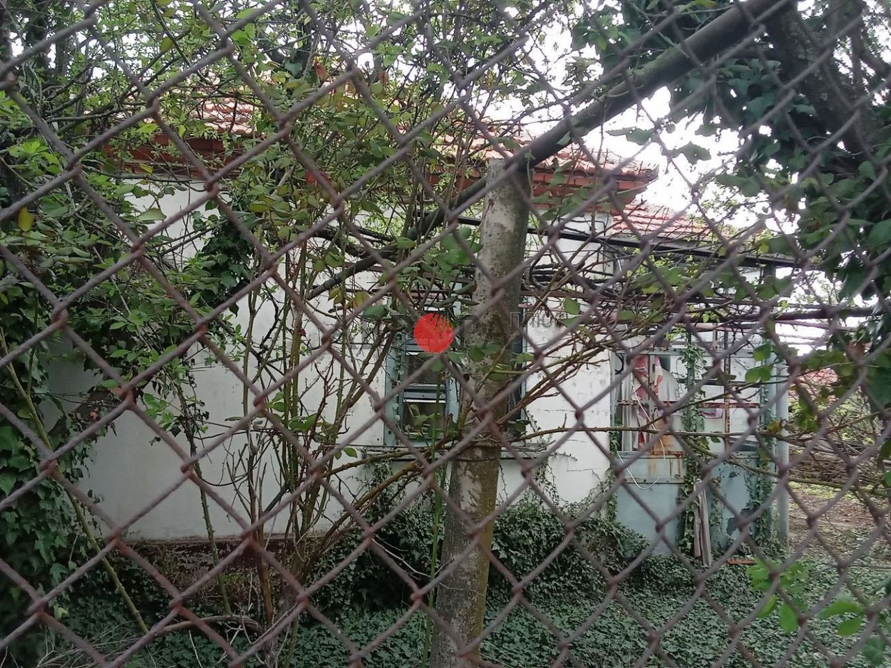 Дом в Терзийско, Болгария, 64 м² - фото 2