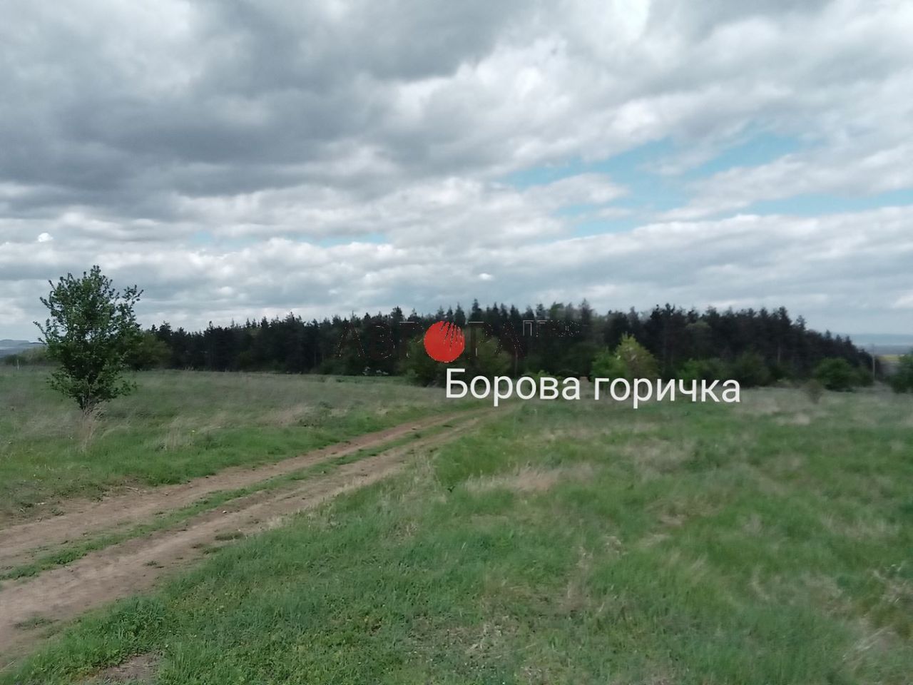 Дом в Терзийско, Болгария, 64 м² - фото 6