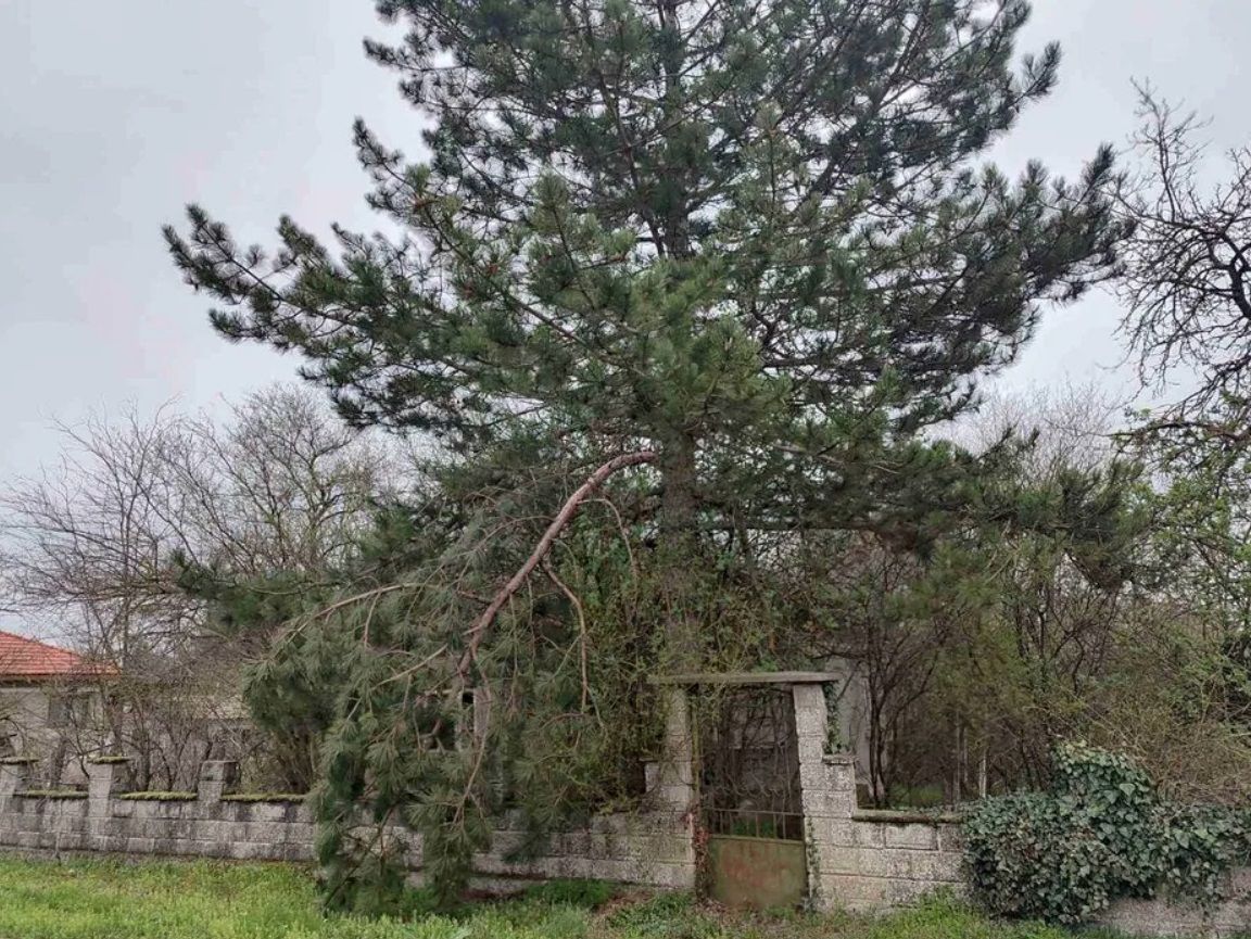 Дом в Балчике, Болгария, 90 м² - фото 5