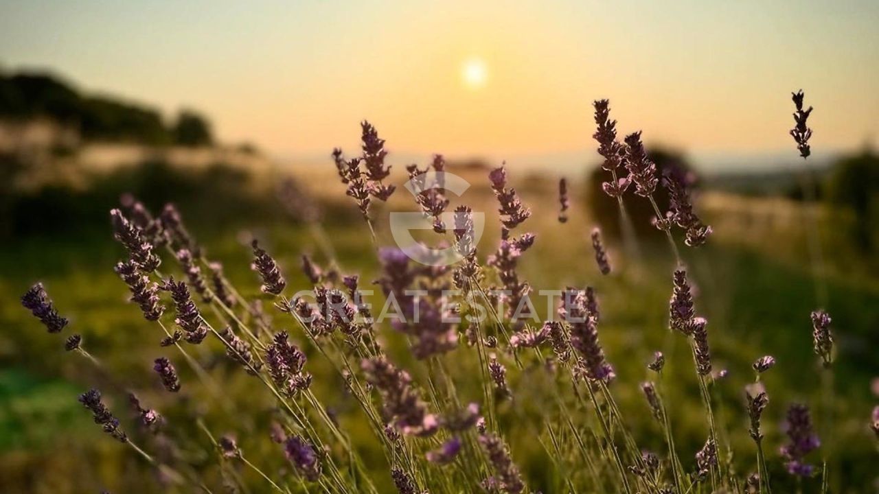 Дом в Тоди, Италия, 269.25 м² - фото 16