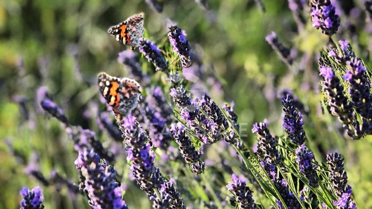 Дом в Тоди, Италия, 269.25 м² - фото 17