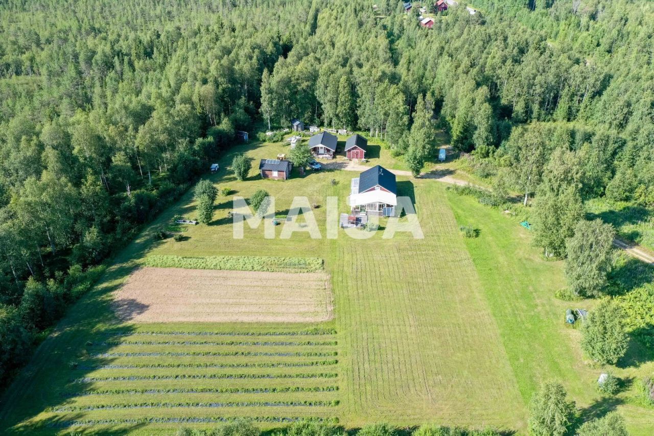 Земля Торнио, Финляндия, 202 307 м² - фото 2