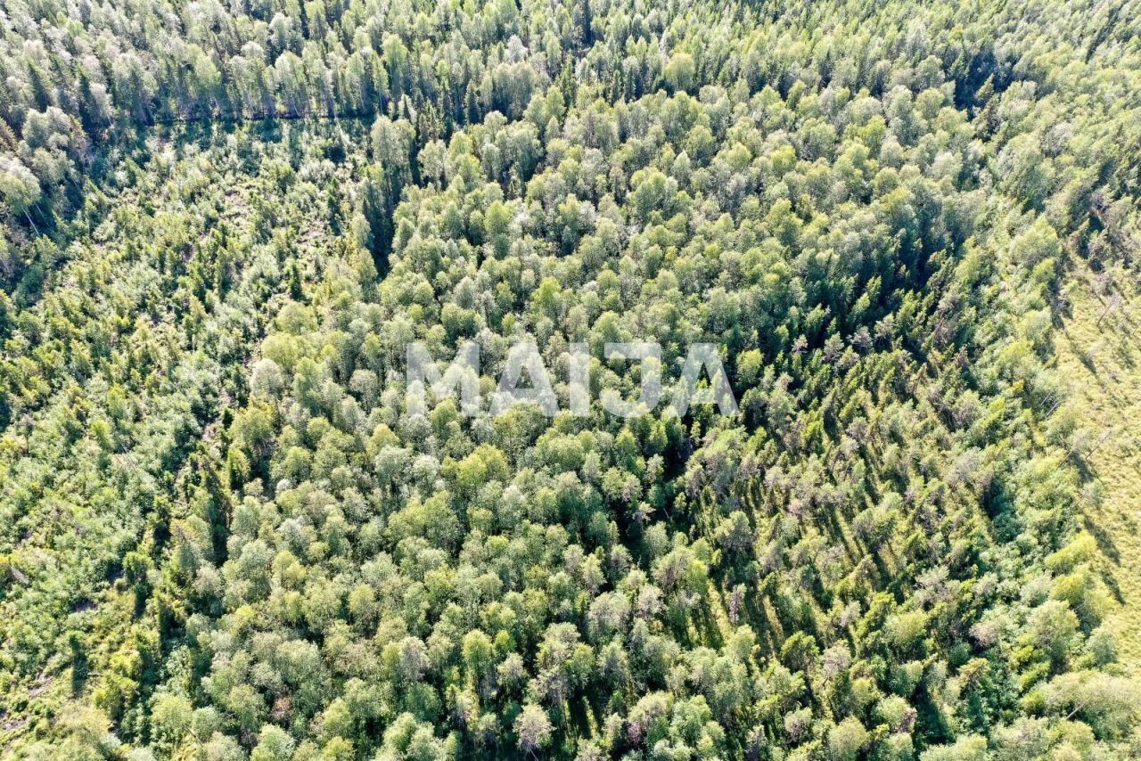 Земля Торнио, Финляндия, 202 307 м² - фото 18