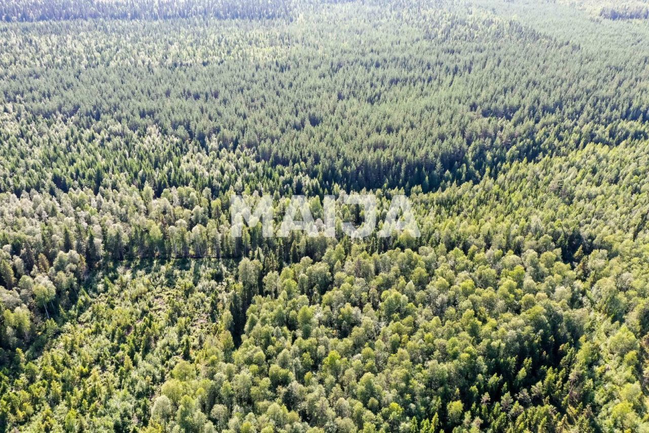 Земля Торнио, Финляндия, 202 307 м² - фото 19
