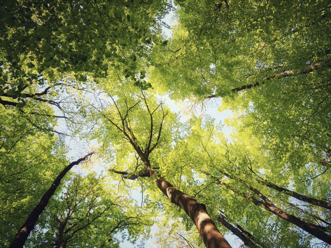 Дом в Вене, Австрия, 1 033 м² - фото 4