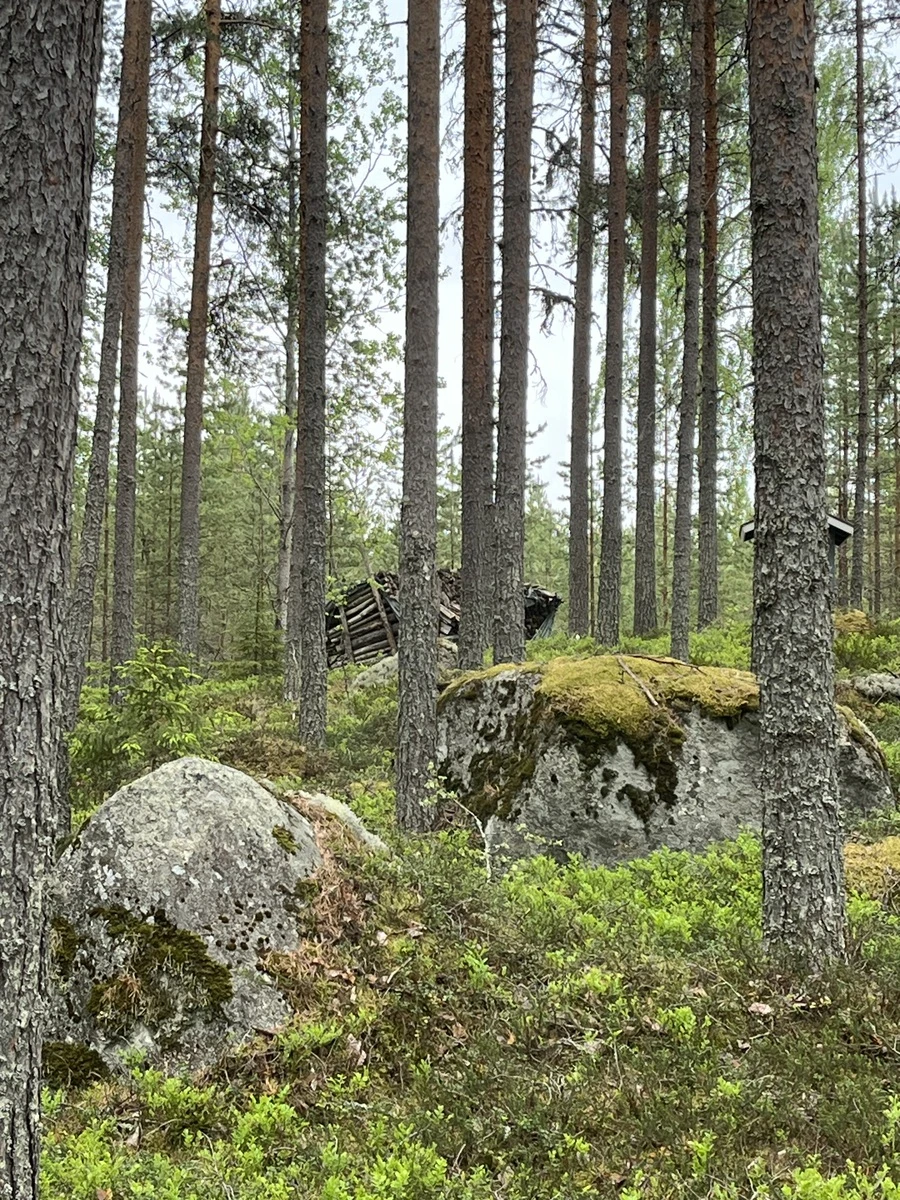 Коттедж в Конневеси, Финляндия, 18 м² - фото 18