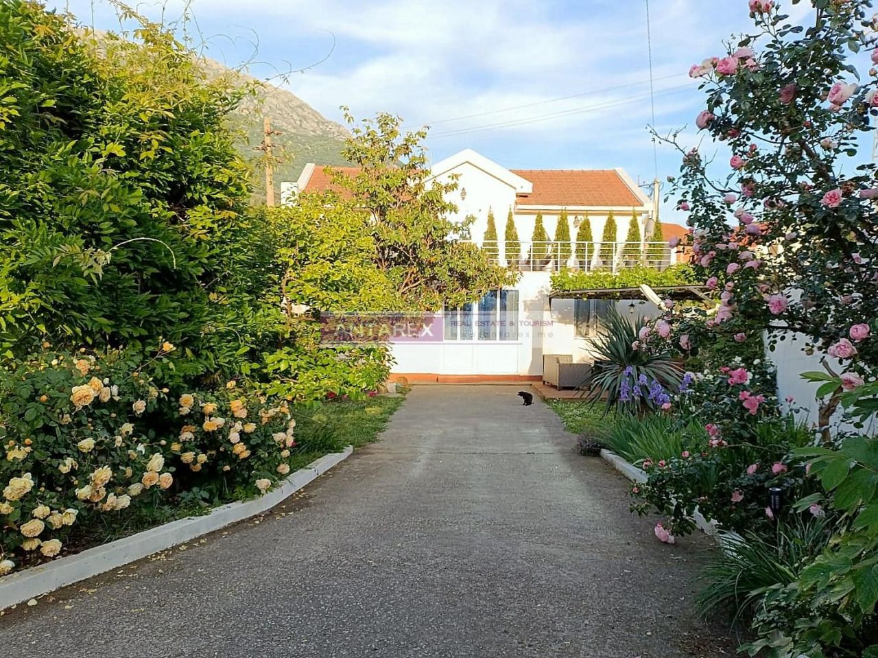 Вилла в Добра Воде, Черногория, 170 м² - фото 11