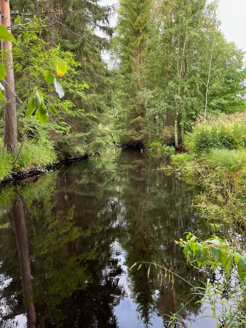 Коттедж в Виррате, Финляндия, 28 м² - фото 8