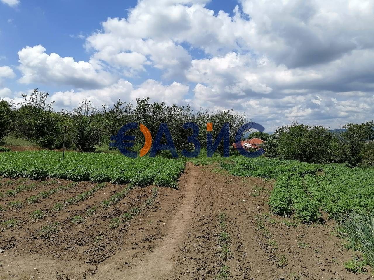 Дом С. БОСИЛКОВО, Болгария, 235 м² - фото 19