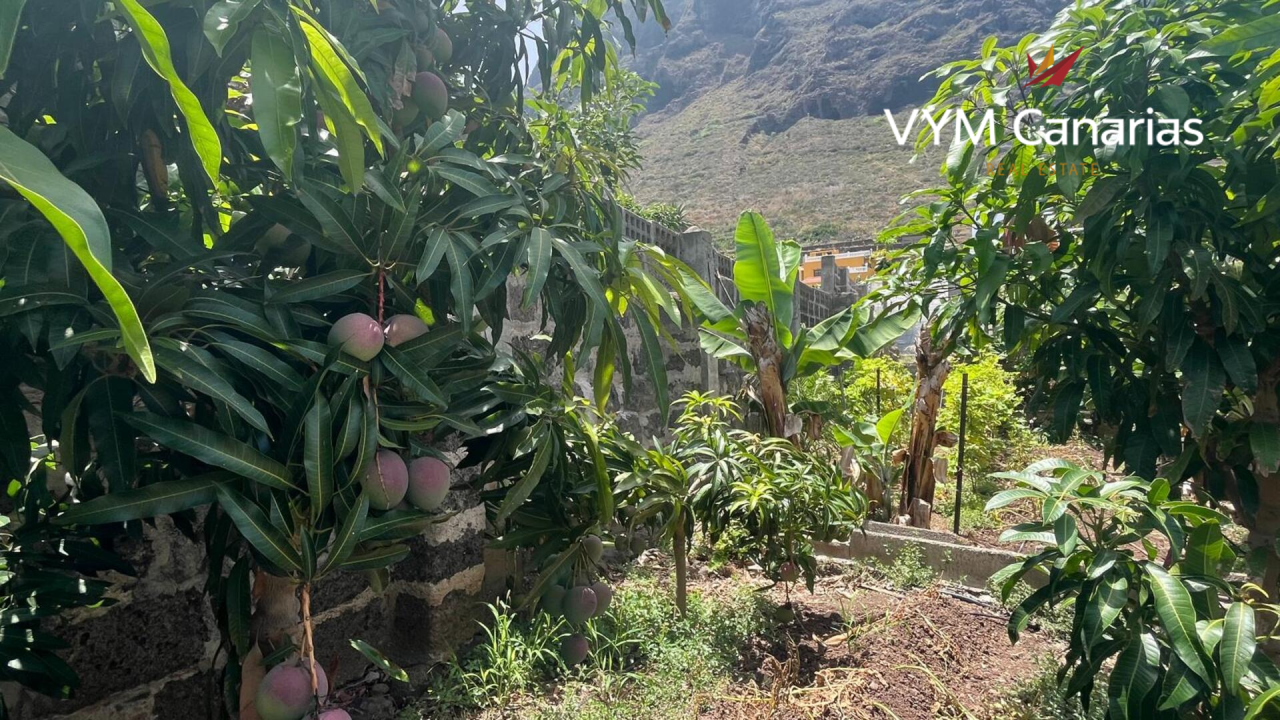 Дом на Тенерифе, Испания, 200 м² - фото 2