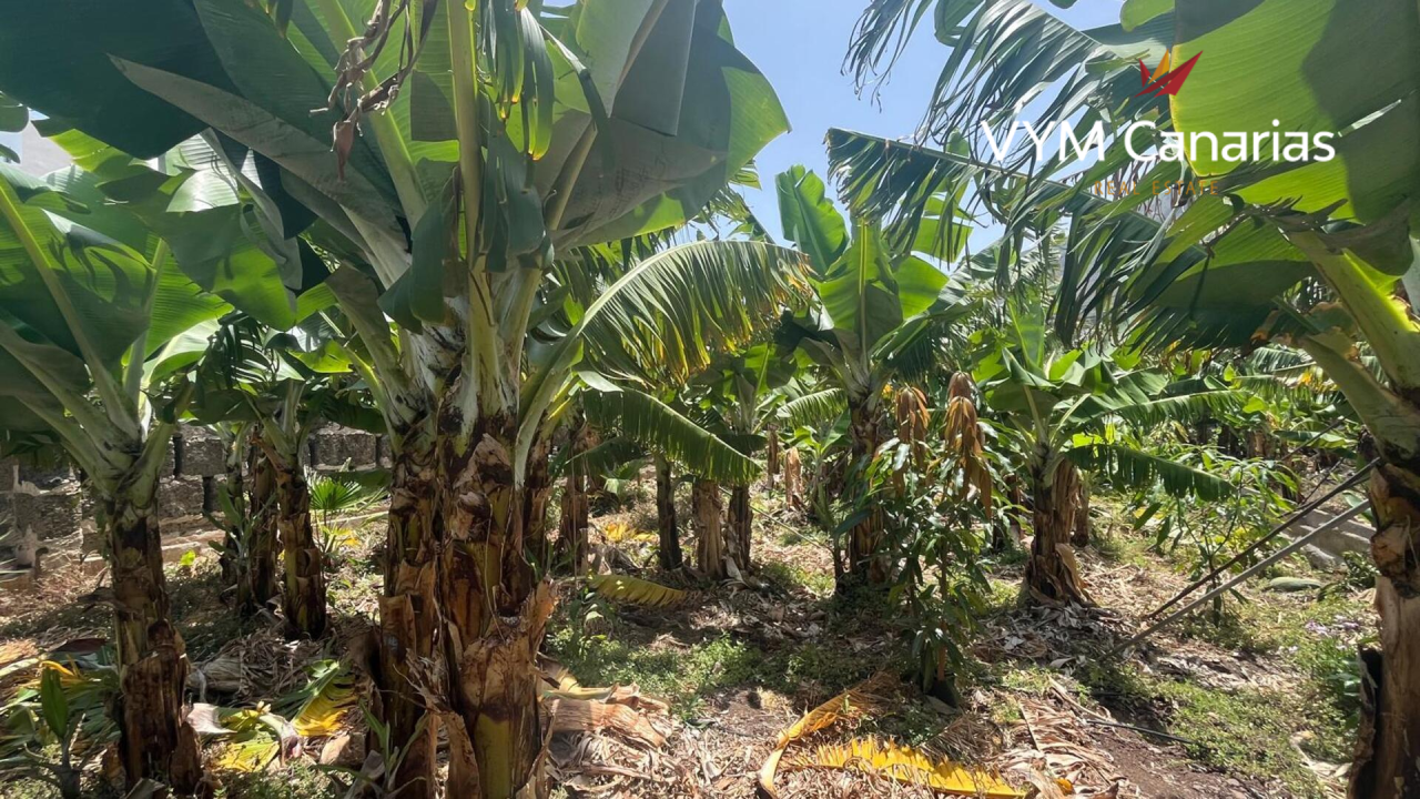 Дом на Тенерифе, Испания, 200 м² - фото 5