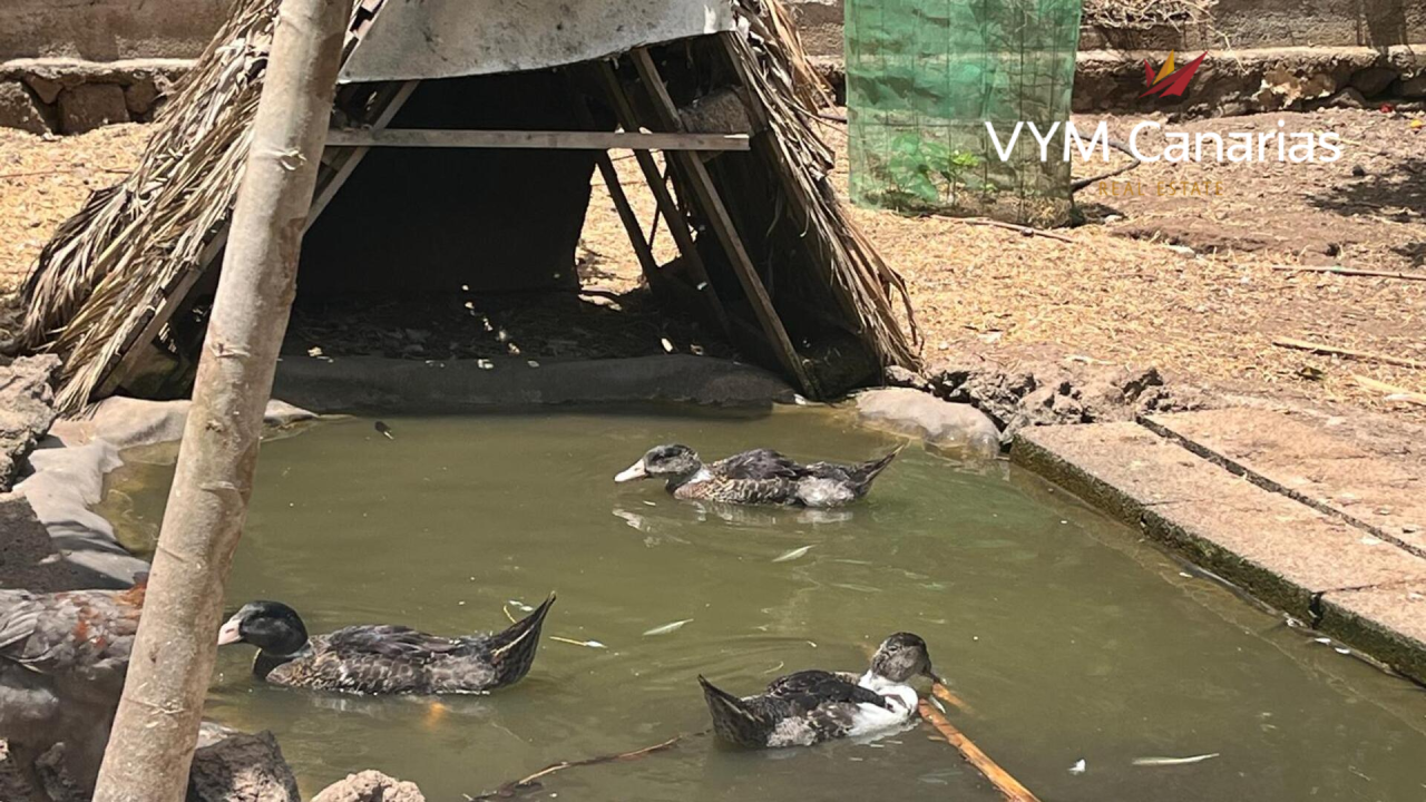 Дом на Тенерифе, Испания, 200 м² - фото 7