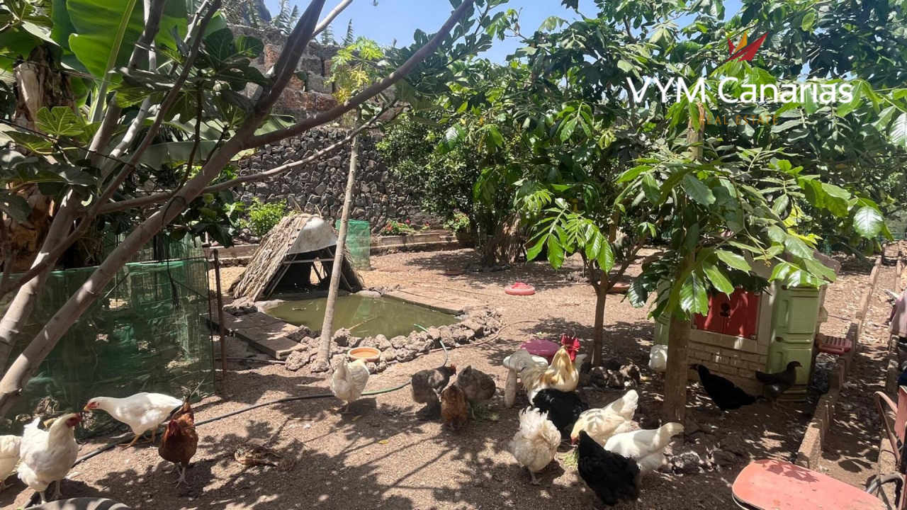 Дом на Тенерифе, Испания, 200 м² - фото 8