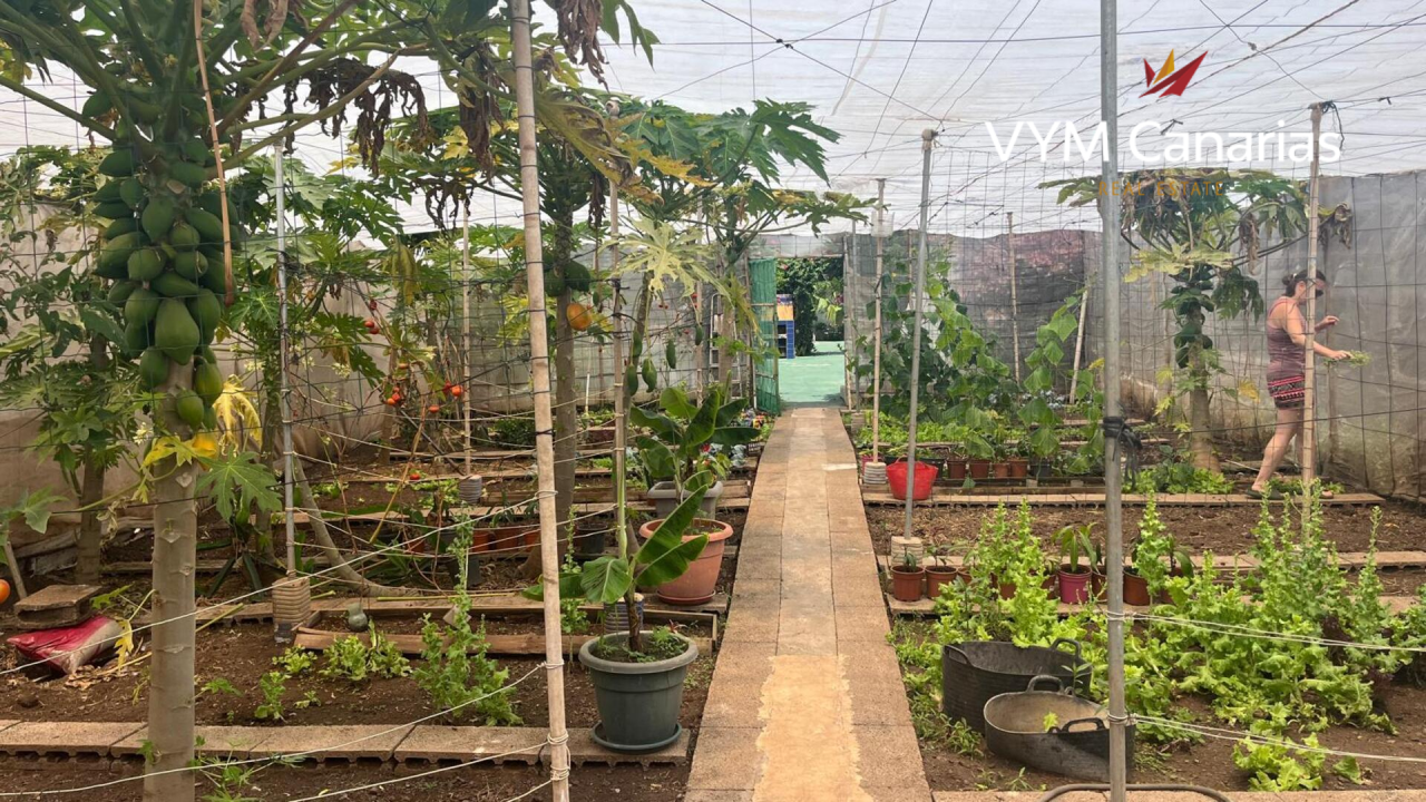 Дом на Тенерифе, Испания, 200 м² - фото 9