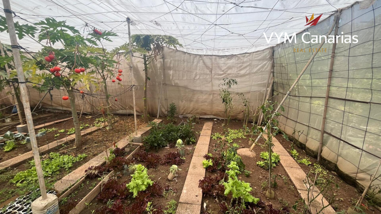 Дом на Тенерифе, Испания, 200 м² - фото 12