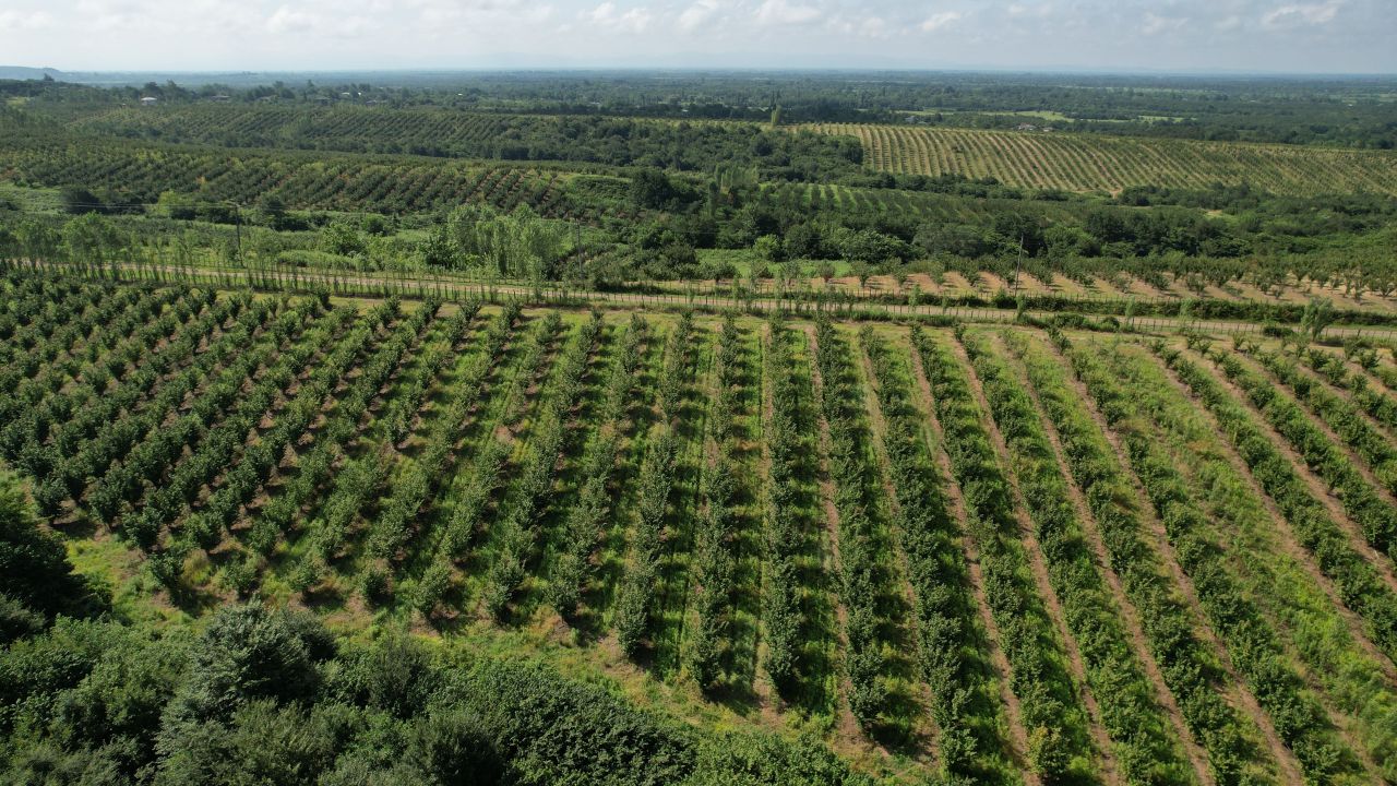 Коммерческая недвижимость в Хобском муниципалитете, Грузия, 2 080 000 м² - фото 2