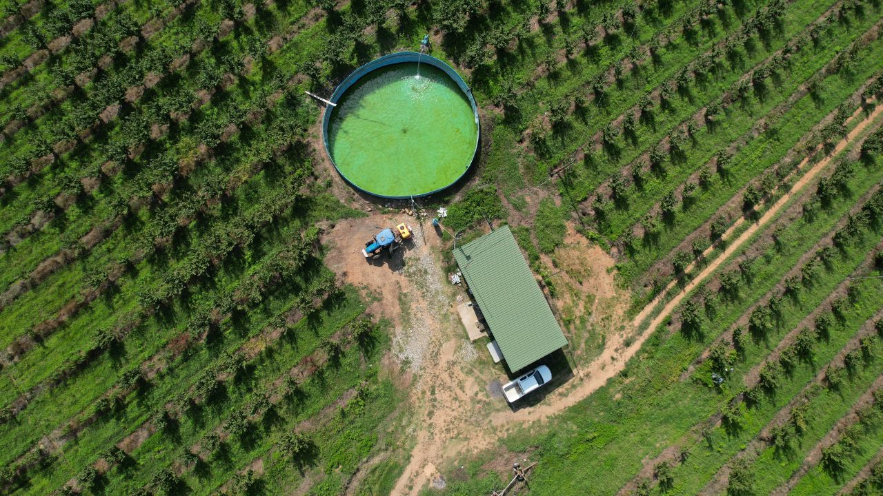 Коммерческая недвижимость в Хобском муниципалитете, Грузия, 2 080 000 м² - фото 3