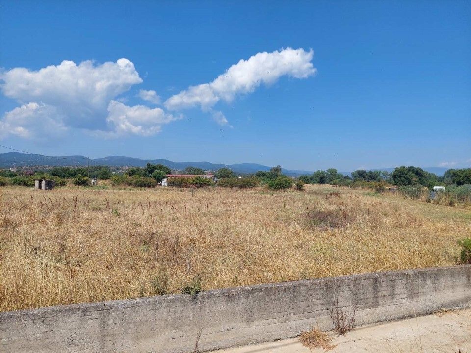 Земля на Афоне, Греция, 2 542 м² - фото 1