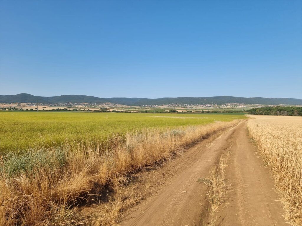 Земля на Солнечном берегу, Болгария, 7 997 м² - фото 1