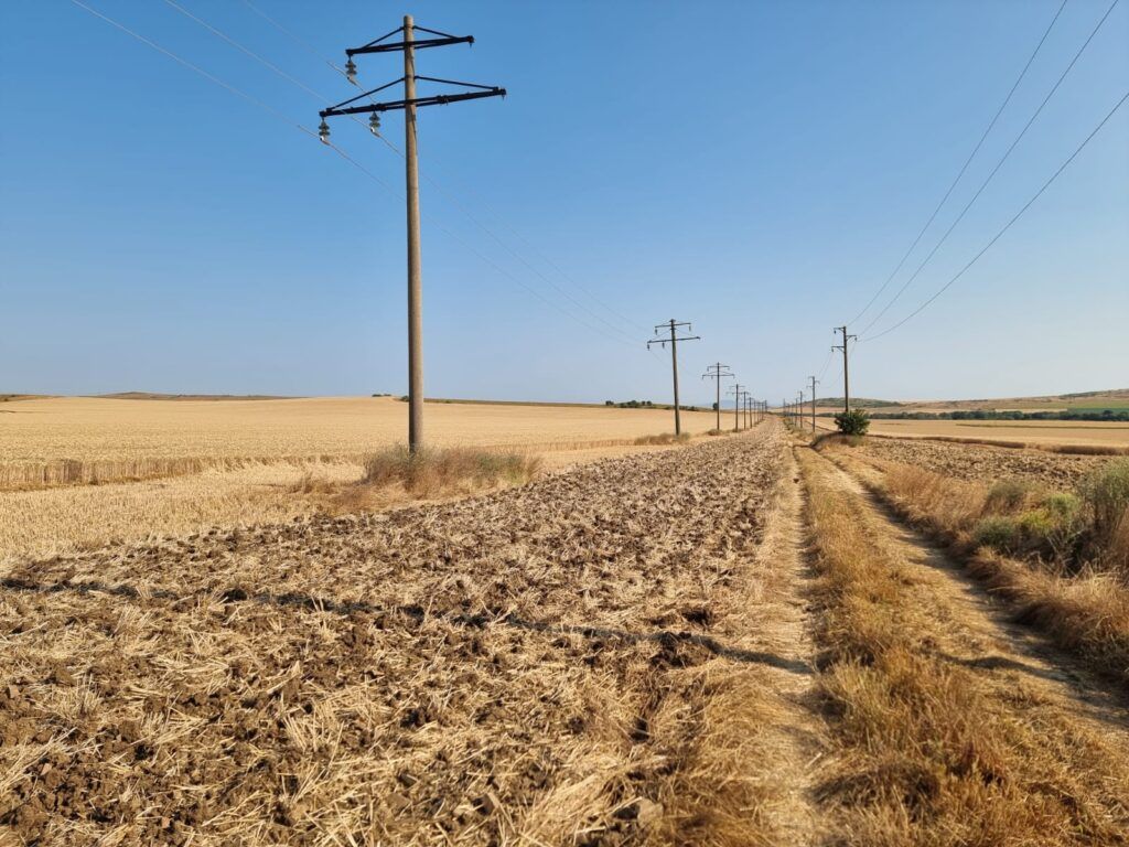 Земля в Тынково, Болгария, 7 000 м² - фото 1