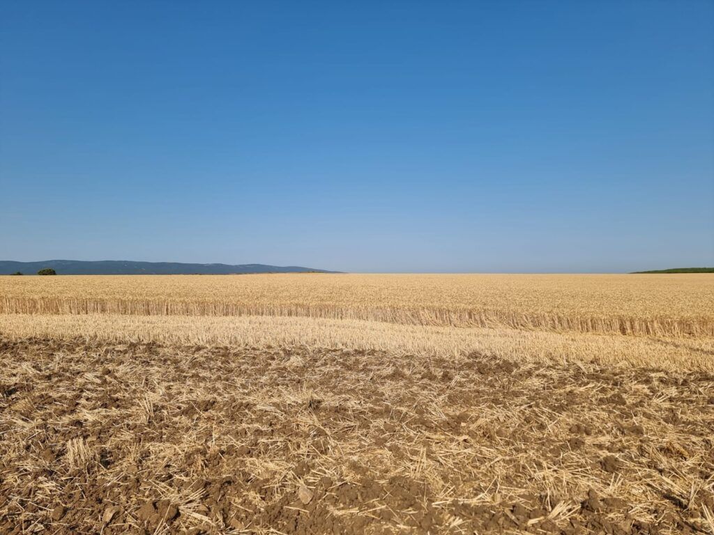 Земля в Тынково, Болгария, 7 000 м² - фото 3