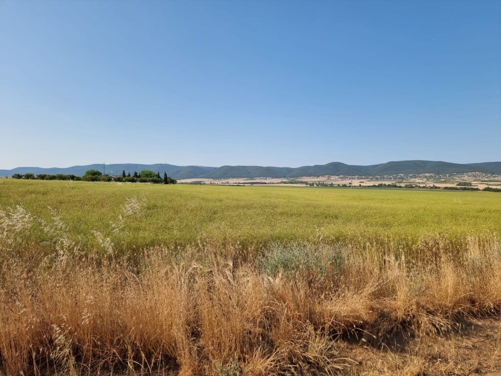 Земля на Солнечном берегу, Болгария, 7 997 м² - фото 3