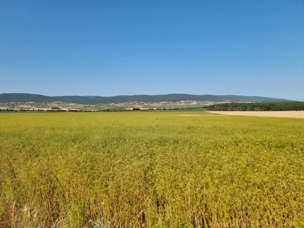 Земля на Солнечном берегу, Болгария, 7 997 м² - фото 5