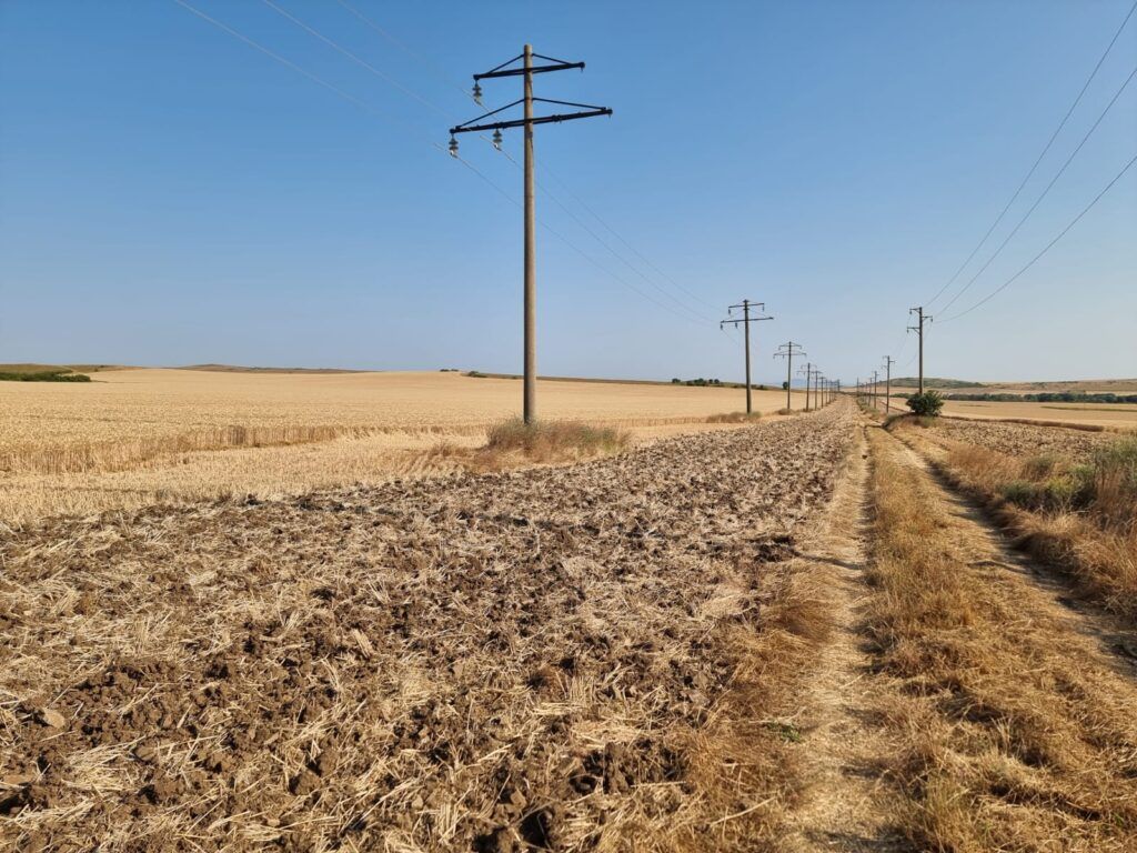 Земля в Тынково, Болгария, 7 000 м² - фото 5