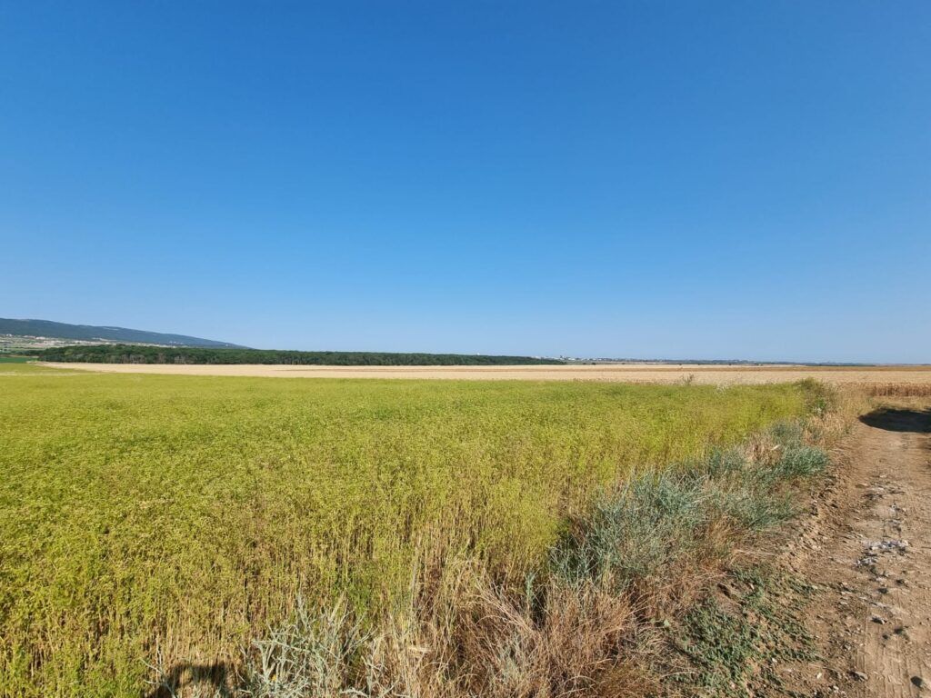 Земля на Солнечном берегу, Болгария, 7 997 м² - фото 6