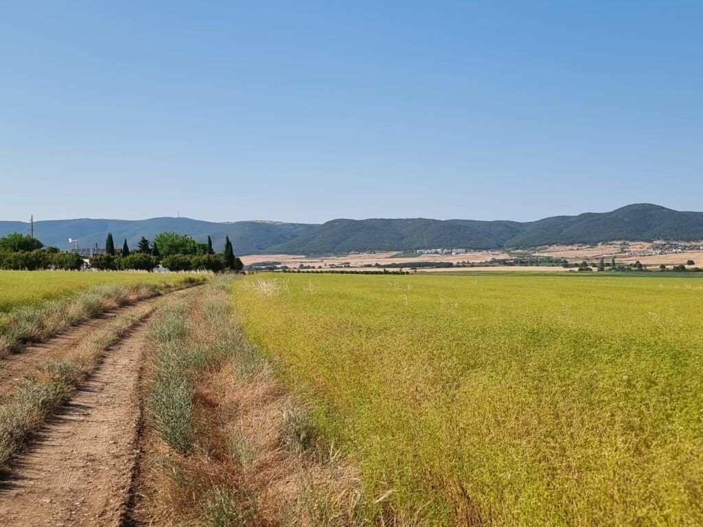 Земля на Солнечном берегу, Болгария, 7 997 м² - фото 7