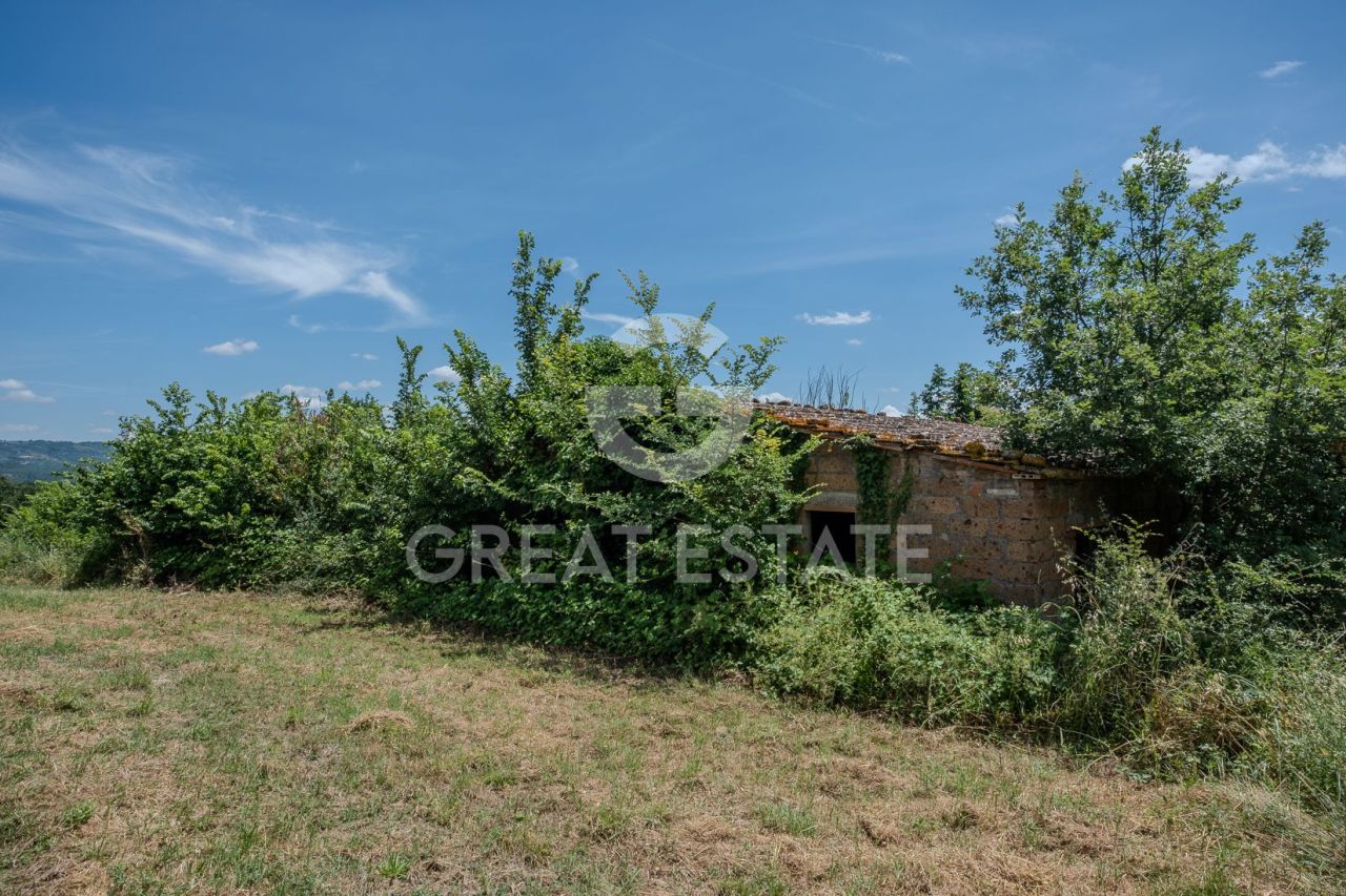 Дом в Читта-делла-Пьеве, Италия, 463.78 м² - фото 6