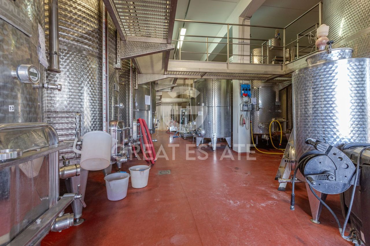 Дом в Сан-Джиминьяно, Италия, 1 230.2 м² - фото 10