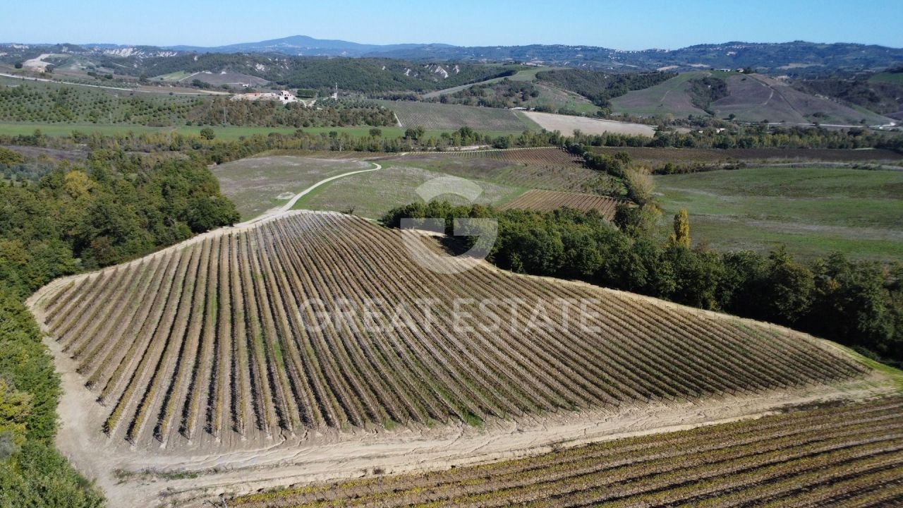 Дом в Аллероне, Италия, 623.55 м² - фото 11