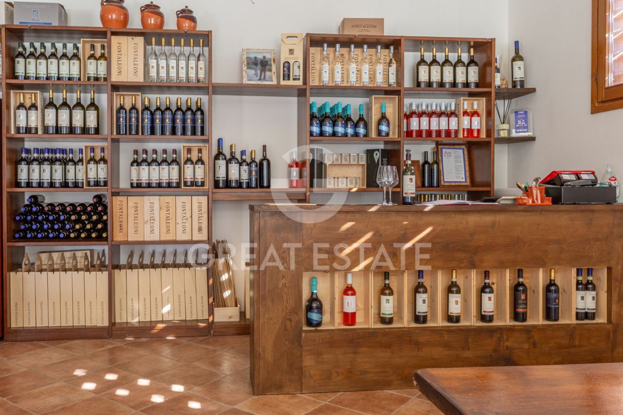 Дом в Сан-Джиминьяно, Италия, 1 230.2 м² - фото 12