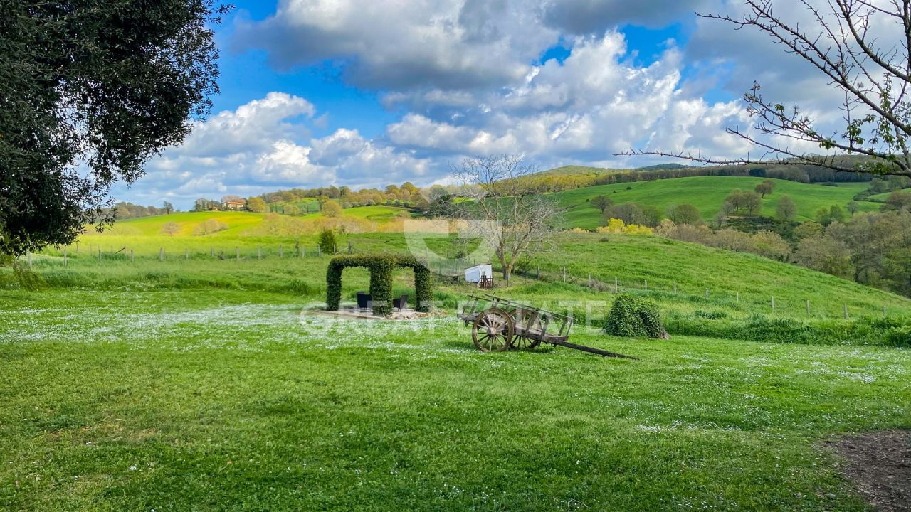 Дом Manciano, Италия, 365.3 м² - фото 14