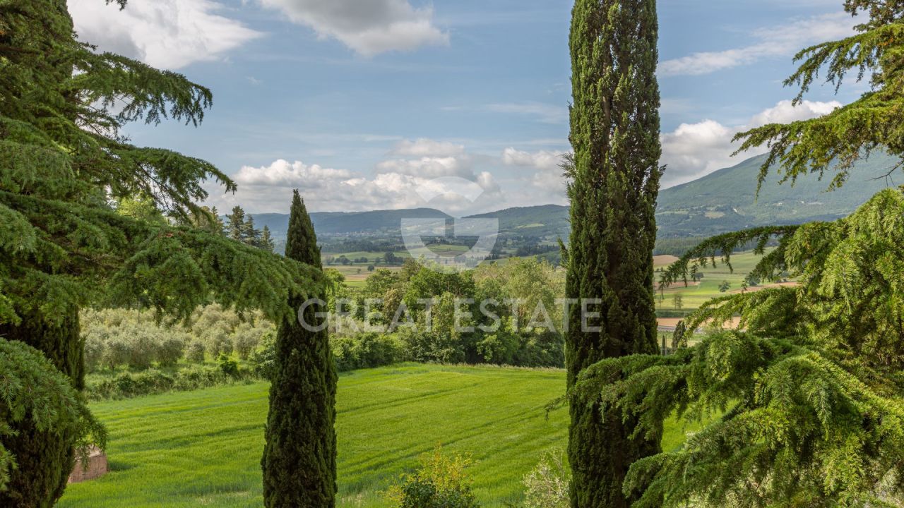 Дом в Четоне, Италия, 489.1 м² - фото 18