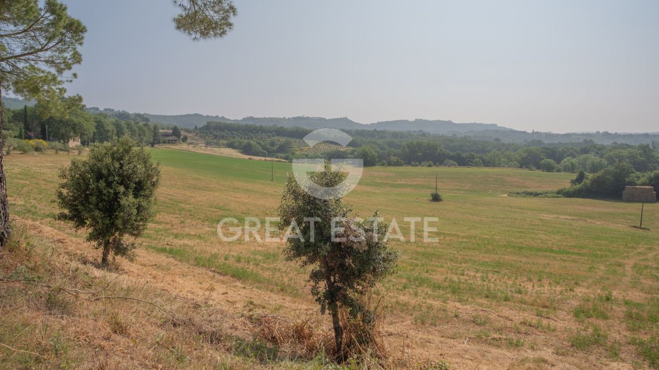 Дом в Читта-делла-Пьеве, Италия, 1 514.15 м² - фото 7