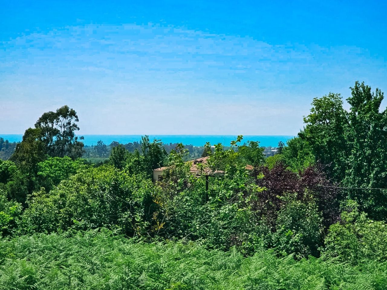 Земля в Батуми, Грузия, 5 500 м² - фото 1