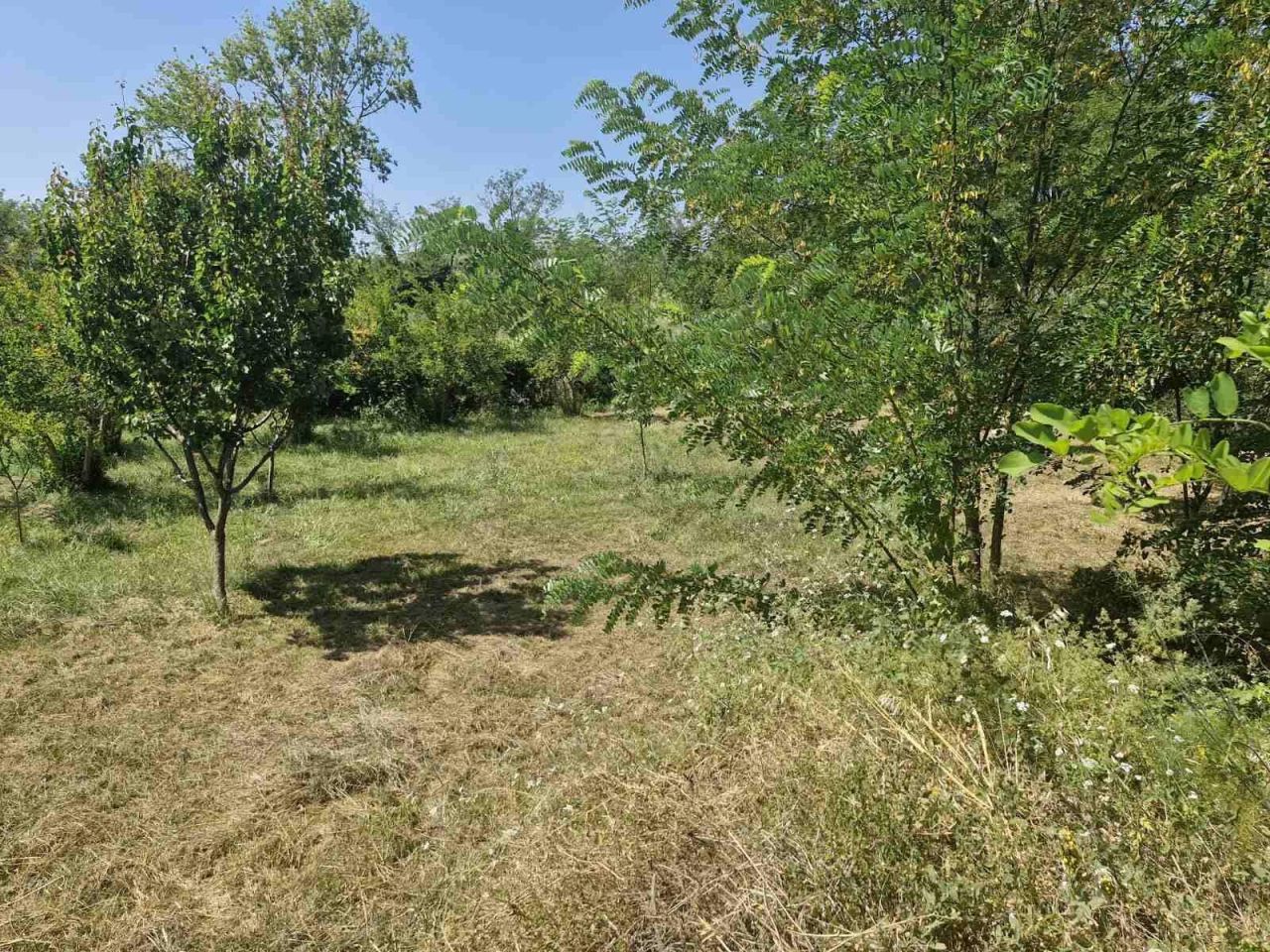 Земля в Баре, Черногория, 2 065 м² - фото 2