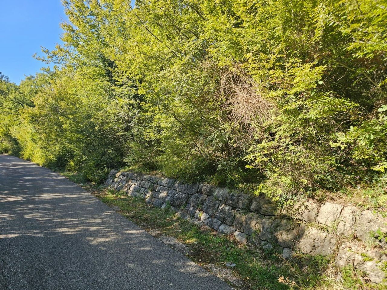 Земля в Баре, Черногория, 16 827 м² - фото 3