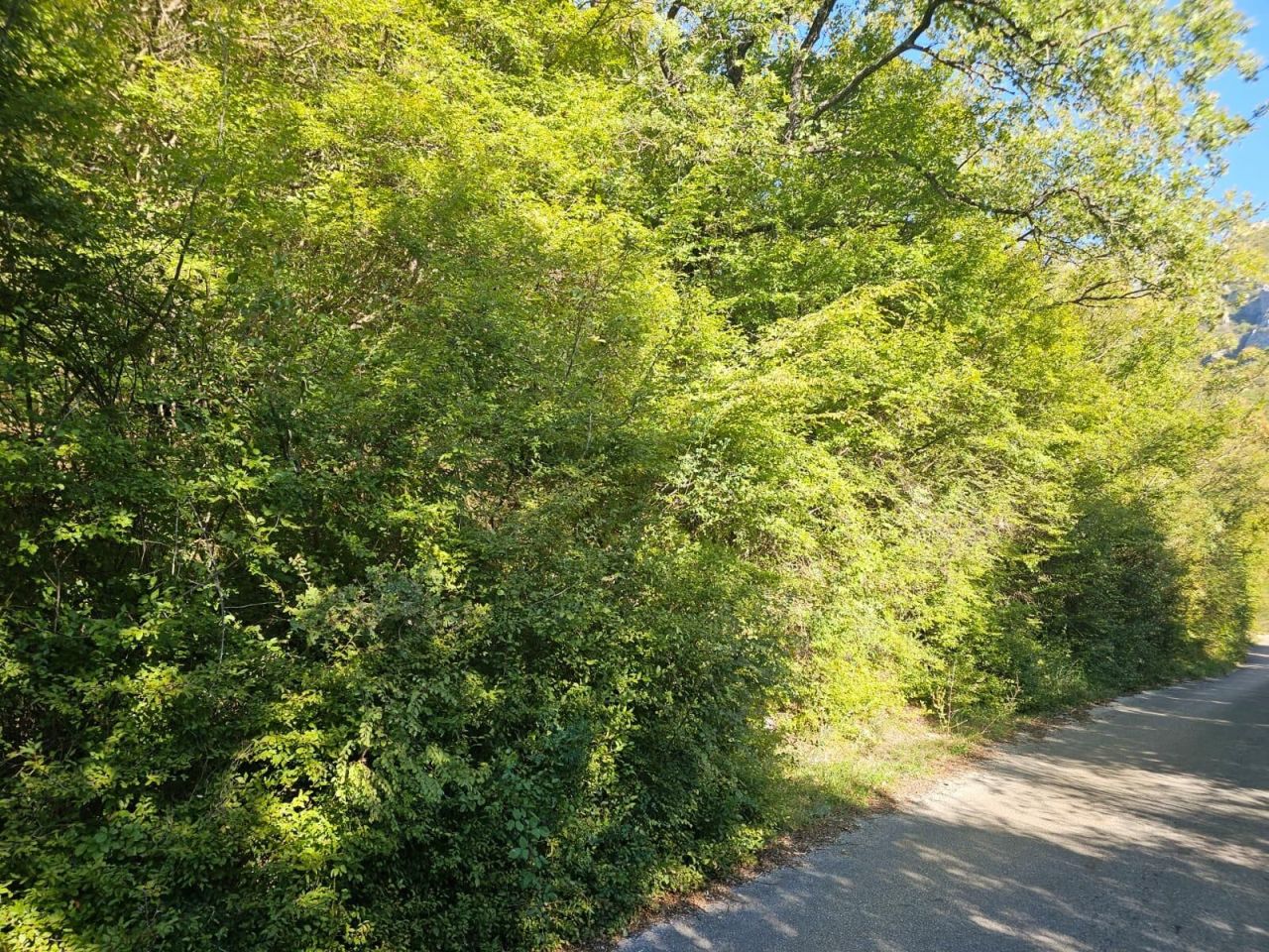 Земля в Баре, Черногория, 16 827 м² - фото 4