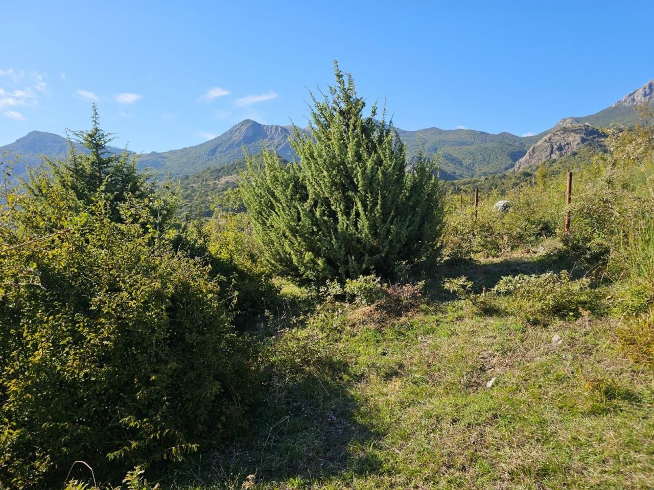 Земля в Баре, Черногория, 16 827 м² - фото 5