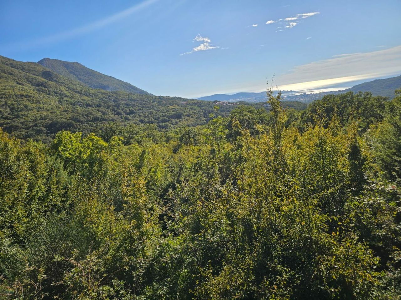 Земля в Баре, Черногория, 16 827 м² - фото 6