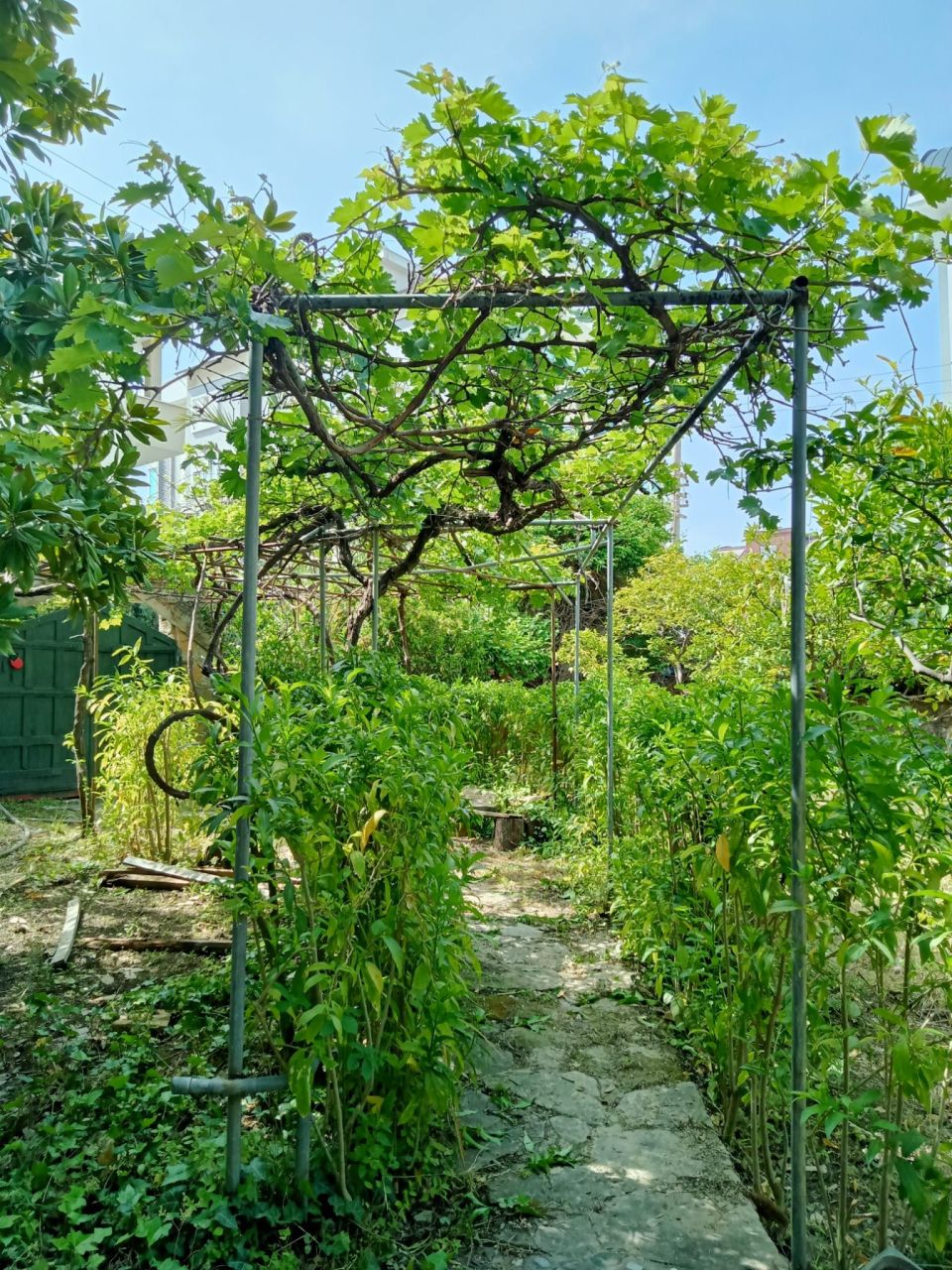 Вилла в Алании, Турция, 400 м² - фото 3