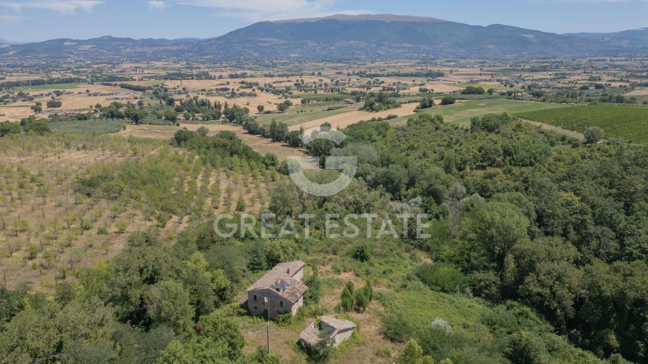 Дом в Каннаре, Италия, 285 м² - фото 4