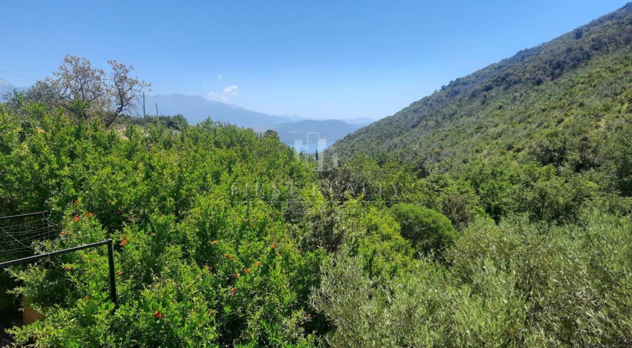 Дом на полуострове Луштица, Черногория, 247 м² - фото 7