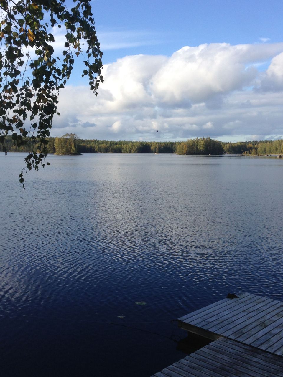 Коттедж в Энонкоски, Финляндия, 115 м² - фото 18