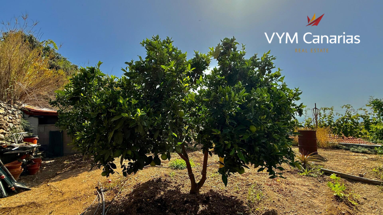 Дом на Тенерифе, Испания, 250 м² - фото 8